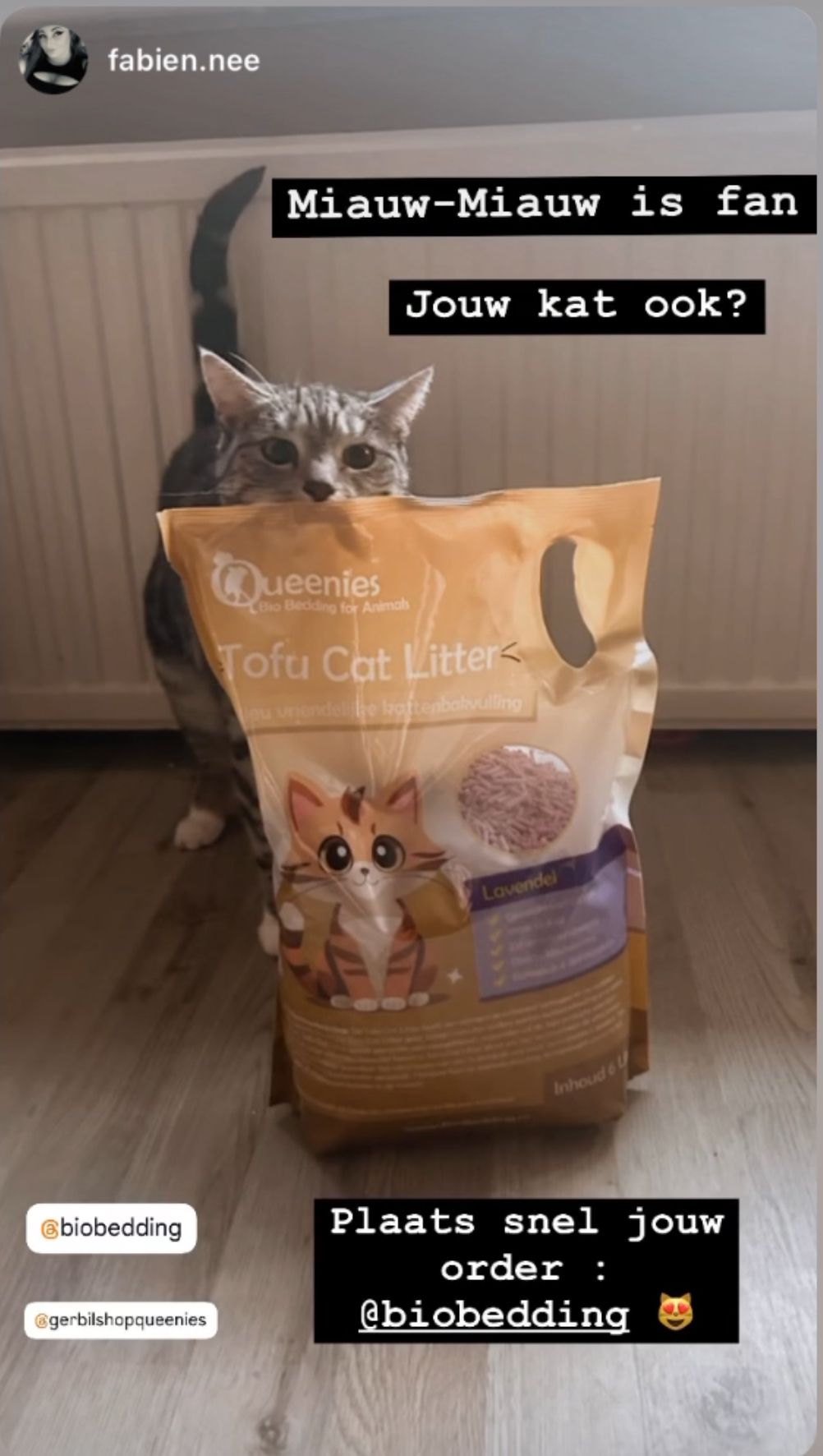 Lavendel Tofu cat litter